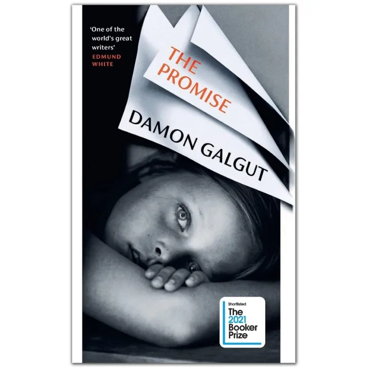 The Promise by Damon Galgut — book cover