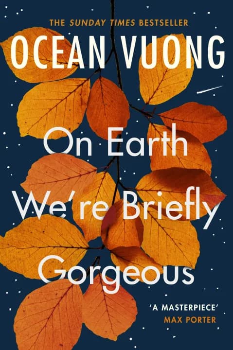 On Earth We're Briefly Gorgeous by Ocean Vuong — book cover