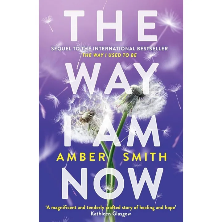 The Way I Am Now by Amber Smith — book cover