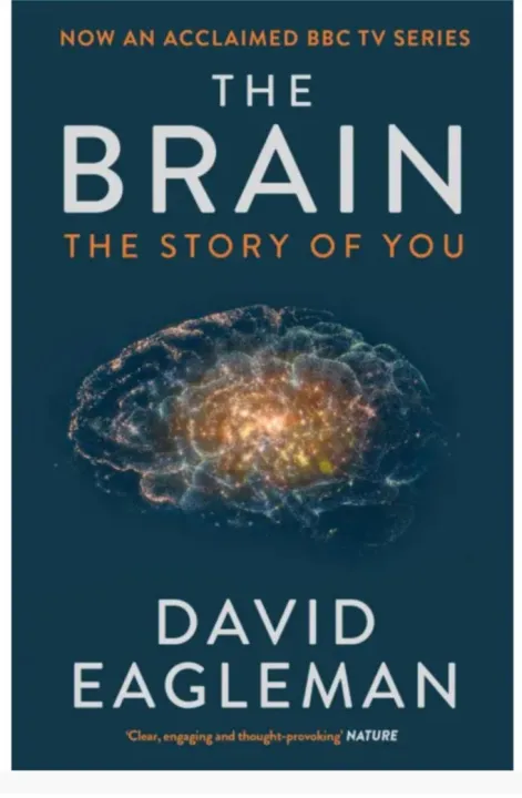 The Brain: The Story of You by David Eagleman — book cover